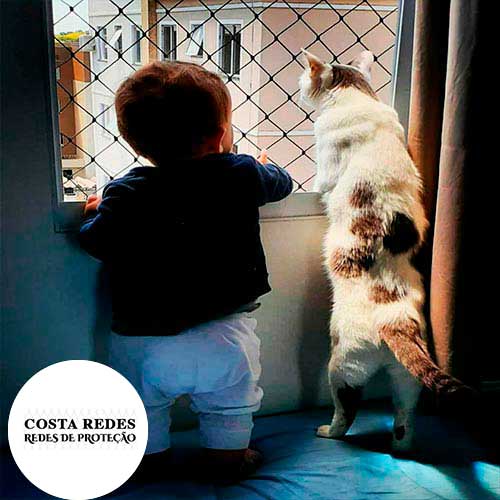 imagem de costa redes de proteção