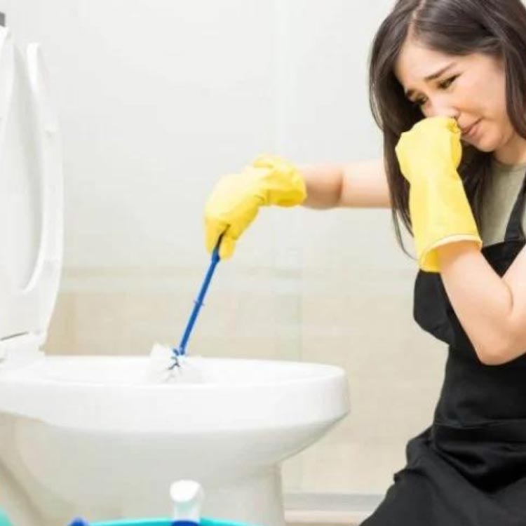 imagem de Desentupimento de Vaso Sanitário