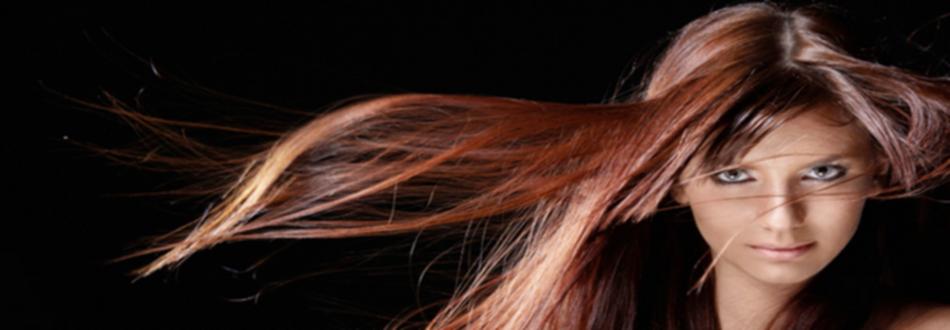 banner salao